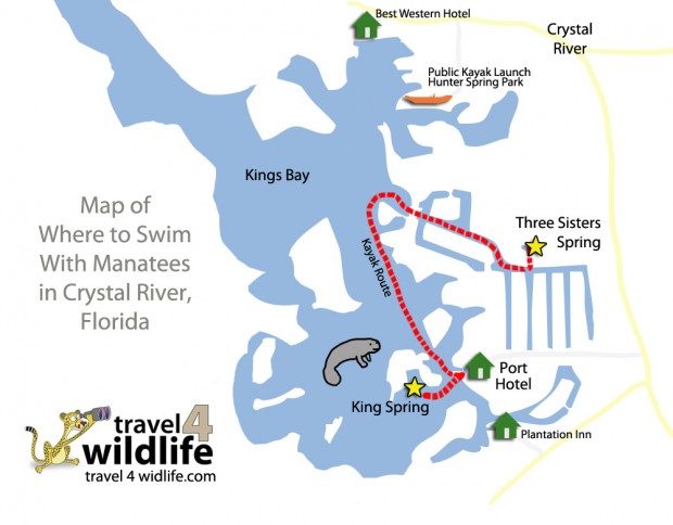 Map of Where To Swim With Manatees in Crystal River Florida