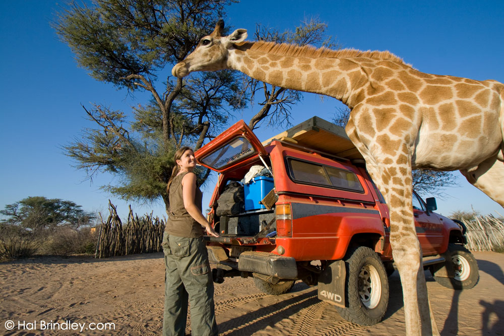 Kalahari rest campsite Botswana