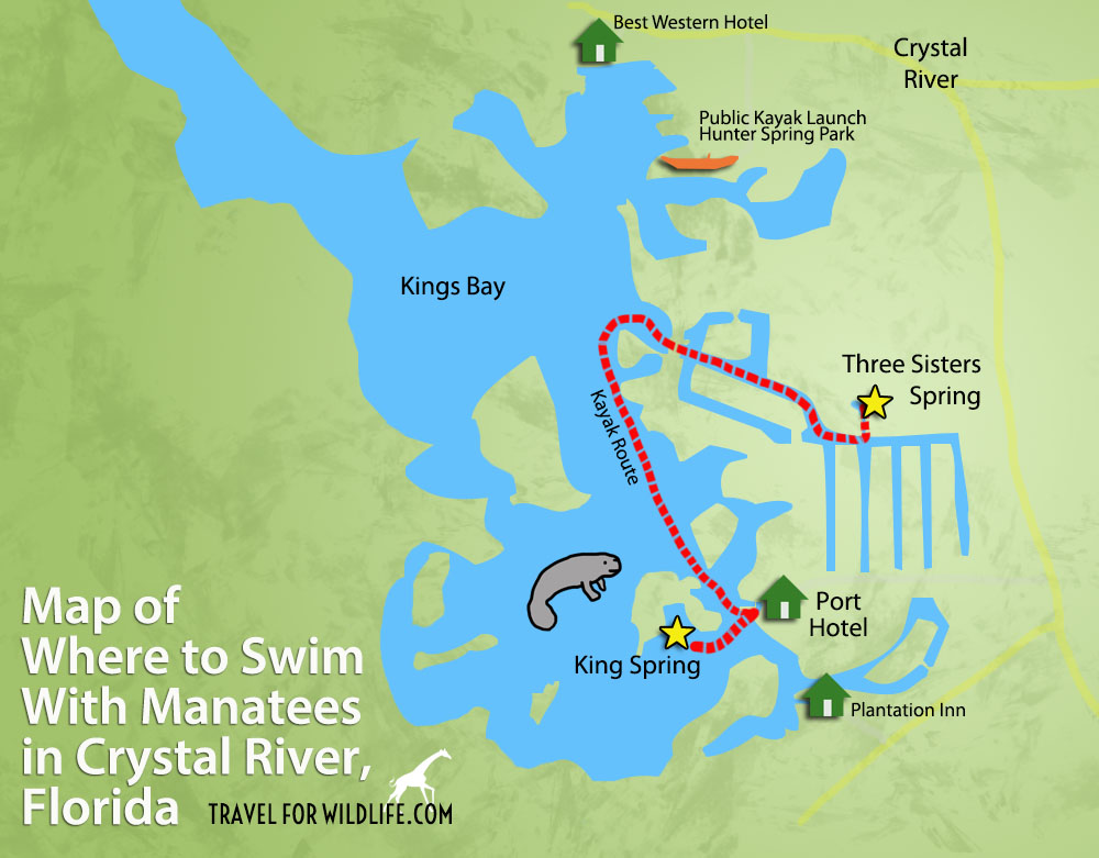 Map of location of places where you can swim with manatees