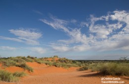 Kalahari red dune