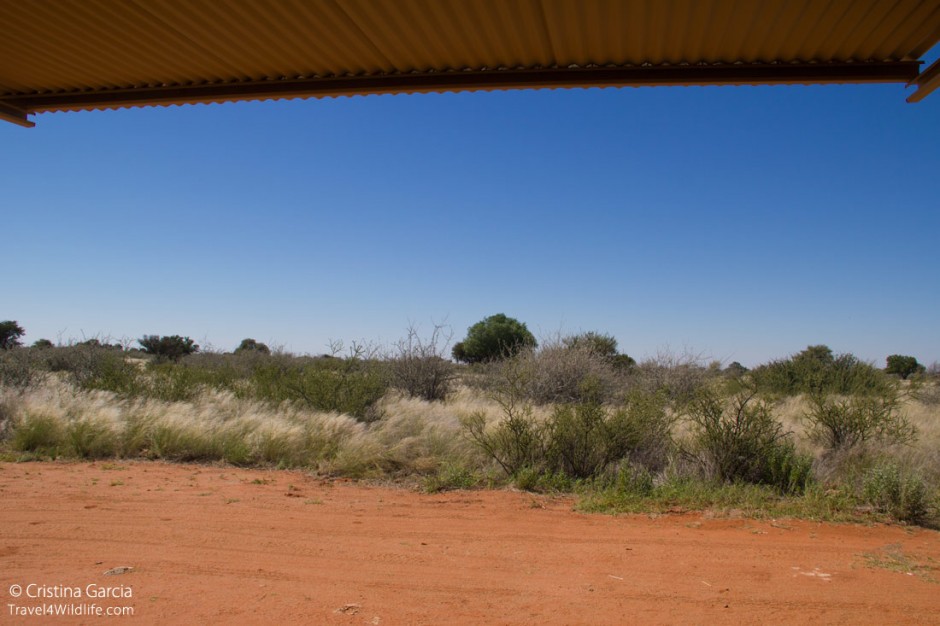 Your own Kalahari view