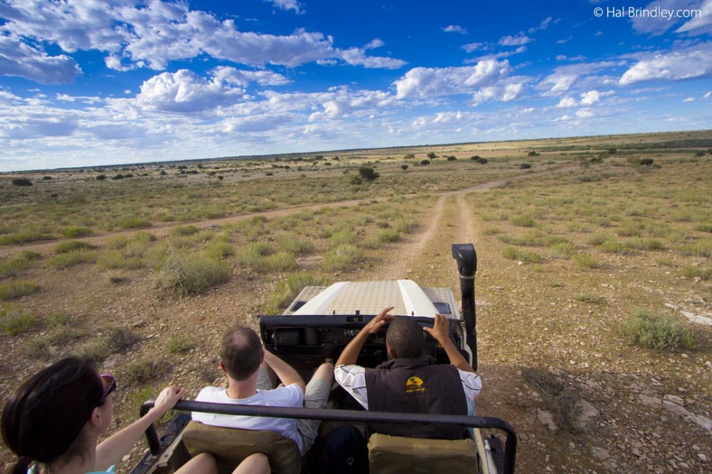 Sundowner drive on our Namibian Safari