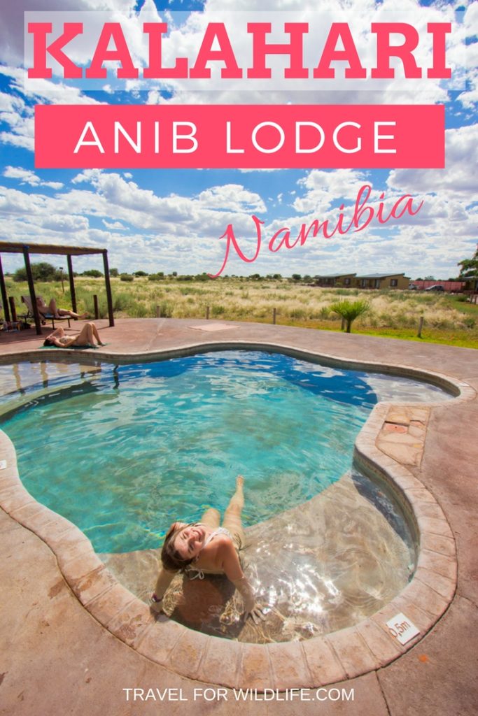 Are you on an Africa overlanding tour? Then the Kalahari Anib lodge is a must stop over! Relax and get away from dusty roads in this beautiful lodge, sip a drink by the pool, go on a sundowner drive, and enjoy the delicous meals. This is the Kalahari at its best!