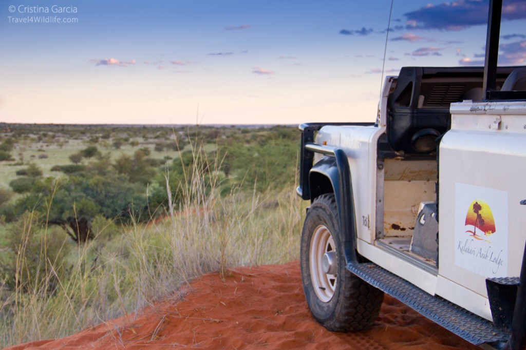 Our Kalahari sunset view