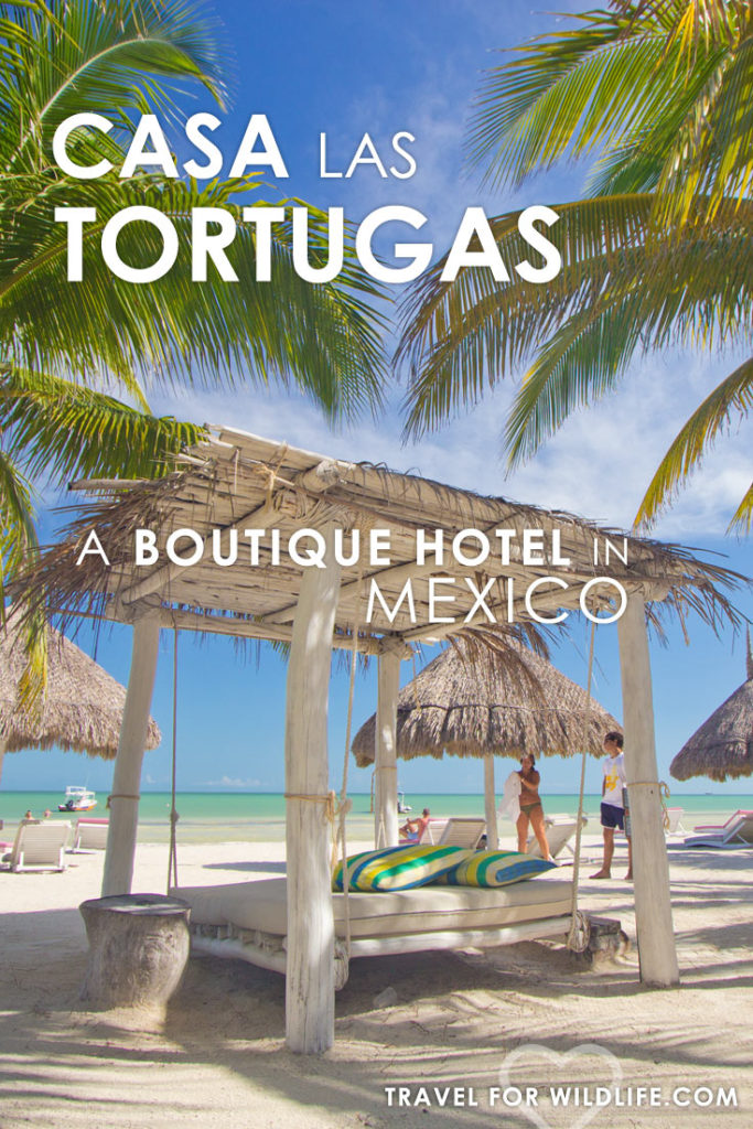 When visiting Holbox Island, make sure you stay at Casa Las Tortugas boutique hotel. You'll get the best sea views in the island! plus those beach beds are to die for!