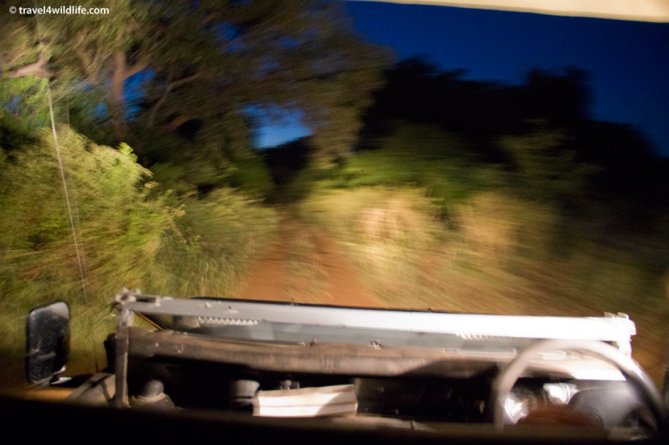 Dashing down a back road in Kruger on a guided night drive.