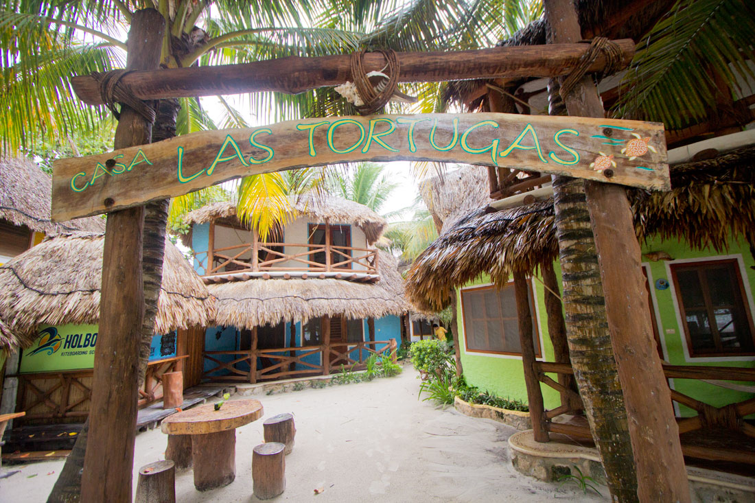 danza flexible Presunto Reseña: Casa las Tortugas, Isla Holbox, Mexico - Travel 4 Wildlife