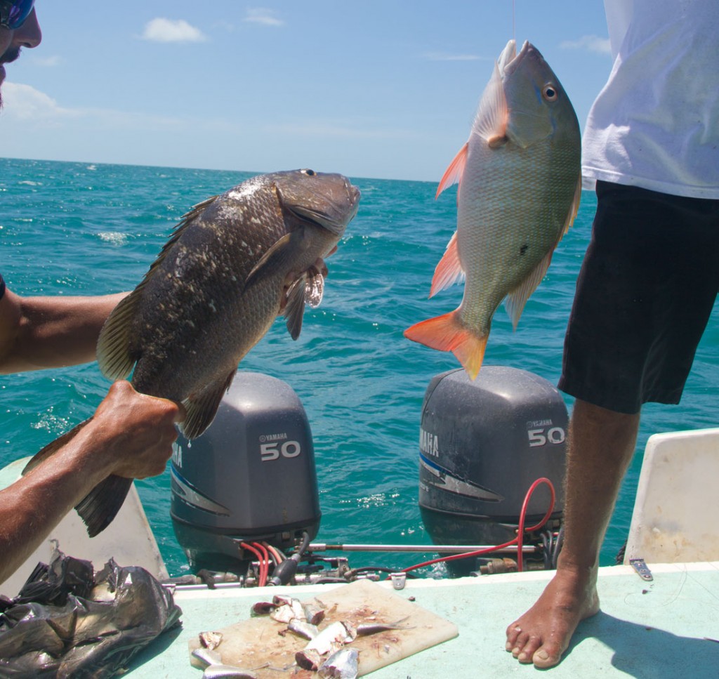 fresh fish for lunch