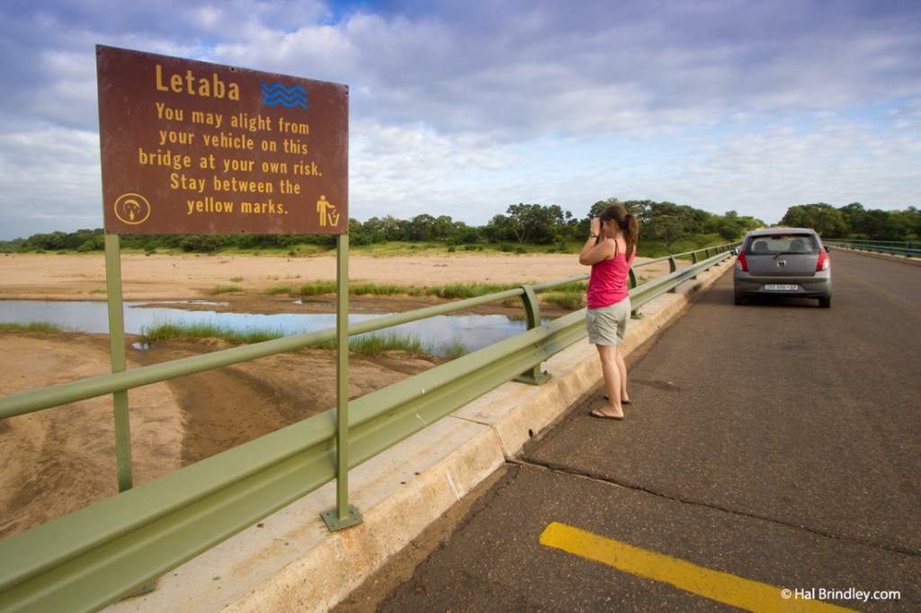 Only leave your vehicle at designated areas during your Kruger safari