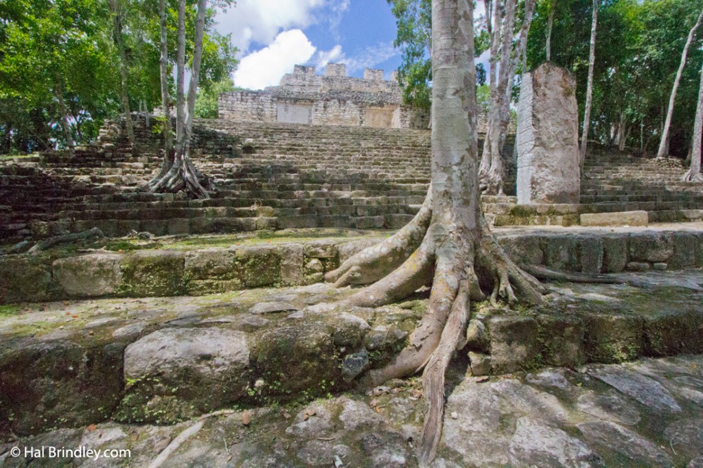 Calakmul ruins