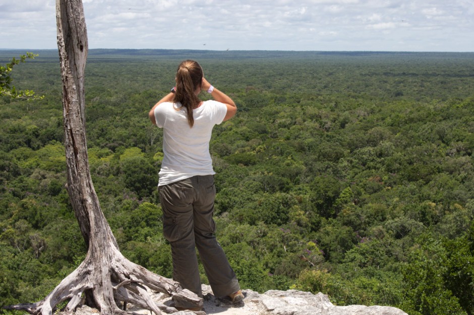 Forest in every direction, Calakmul Biosphere Reserve