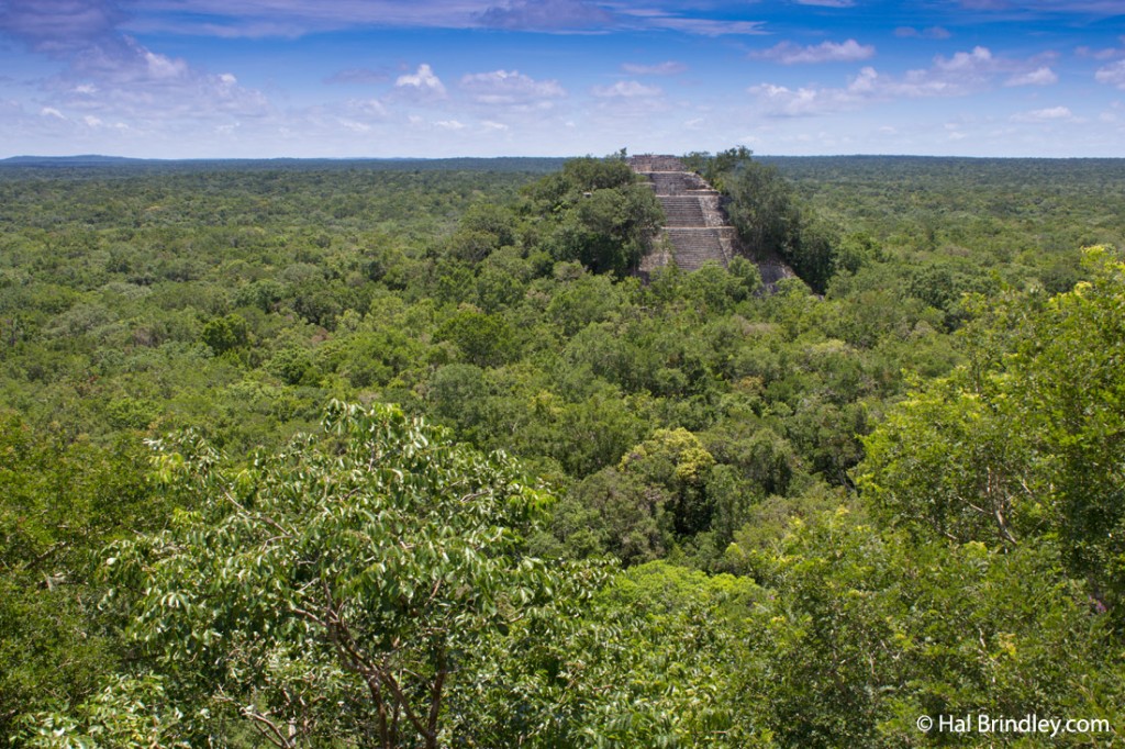 Buried in the jungle: the Maya ruins of Calakmul