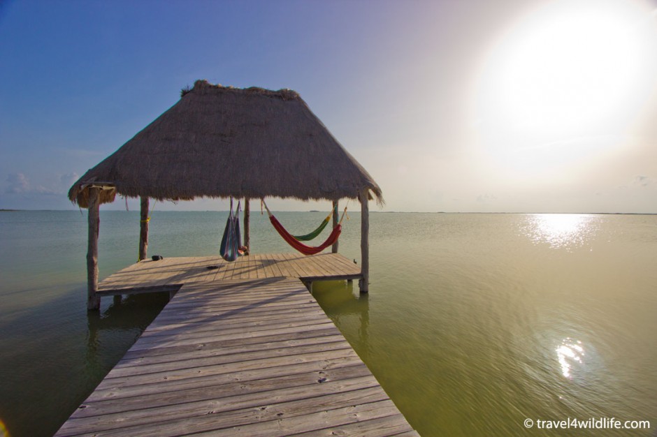 The dock in the lagoon.