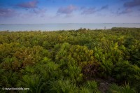 Palm forests and lagoon.