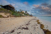 Beach in front of CESiaK