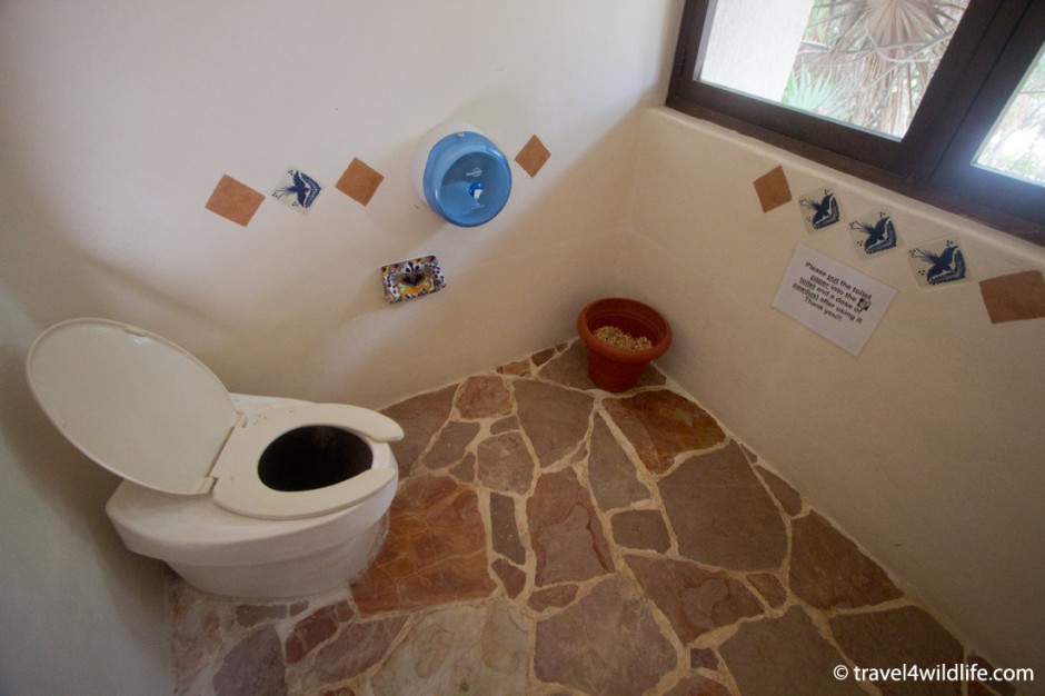 composting toilets (flush with saw dust!)