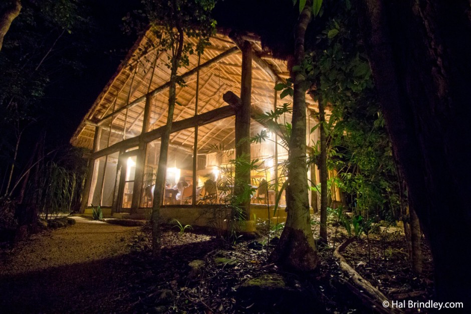 The restaurant at night