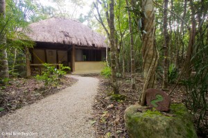 Our room at Puerta Calakmul