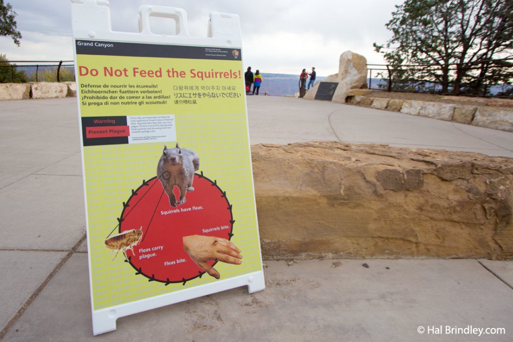 Do not feed the squirrels sign. Grand Canyon, Arizona