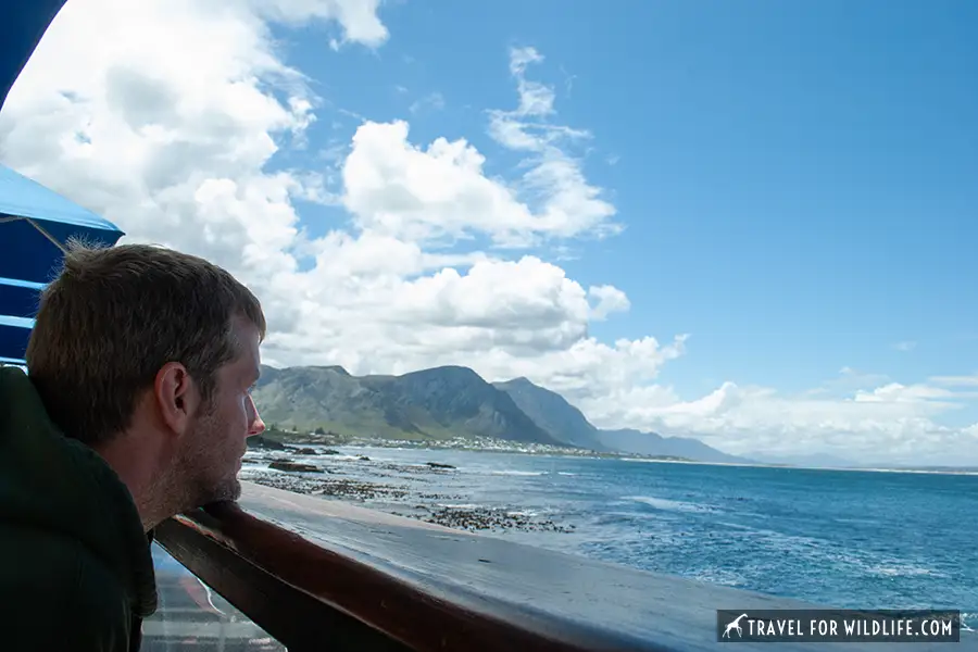 person looking at the ocean