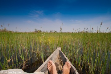 Take a mokoro trip on the Okavango Delta