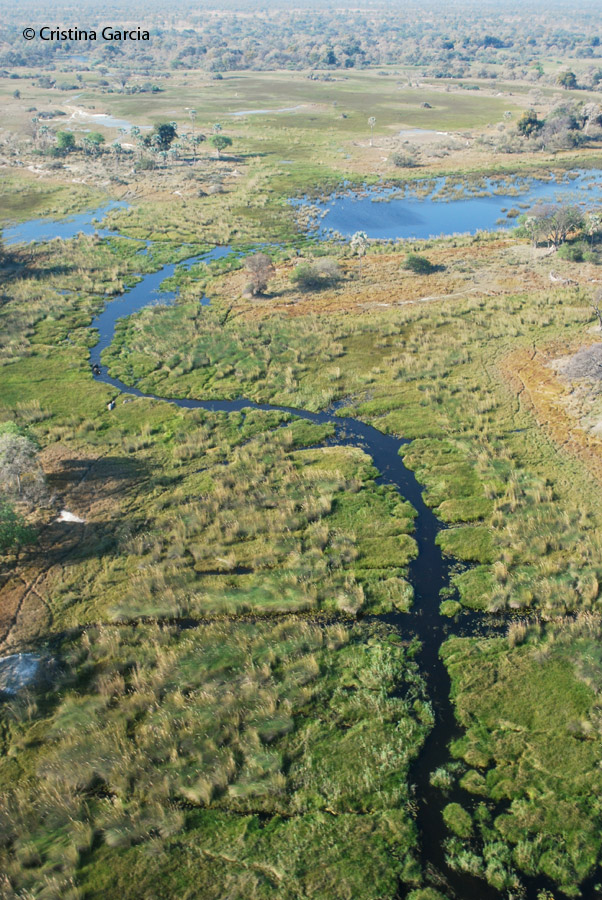 The Okavango delta changing the landscape color