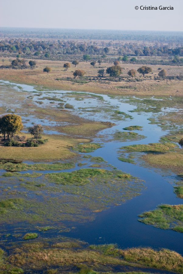 The Okavango delta waters reaching out