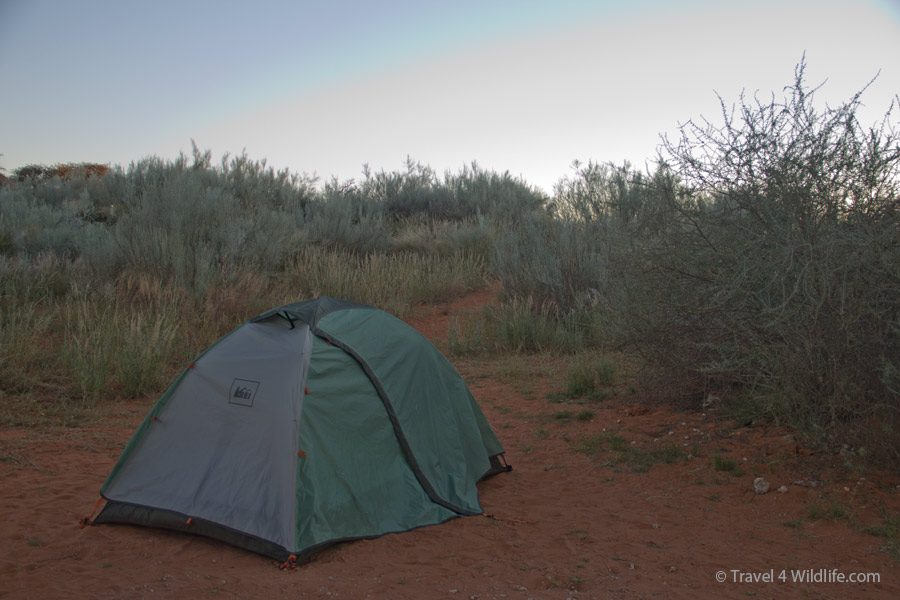 Find a cozy spot on their campgrounds
