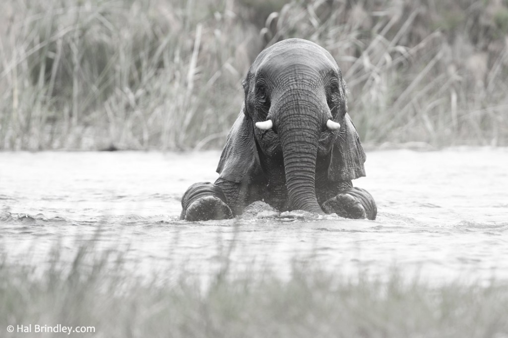 3 National Parks in Southern Africa