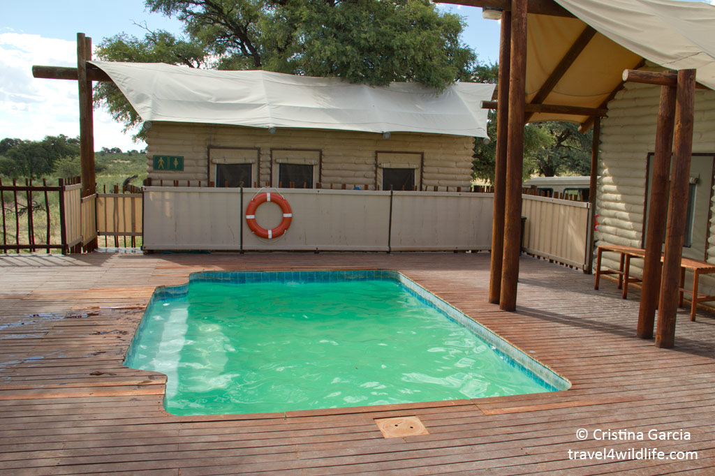 The pool at the Kalahari Tented Camp