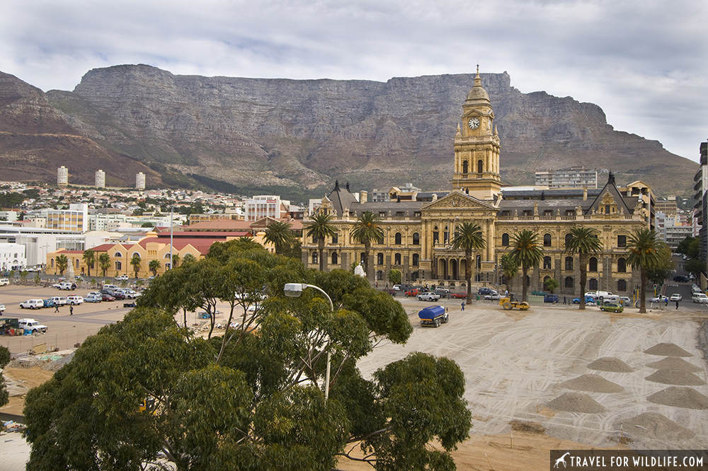 Cape Town City Hall and Table Mountain