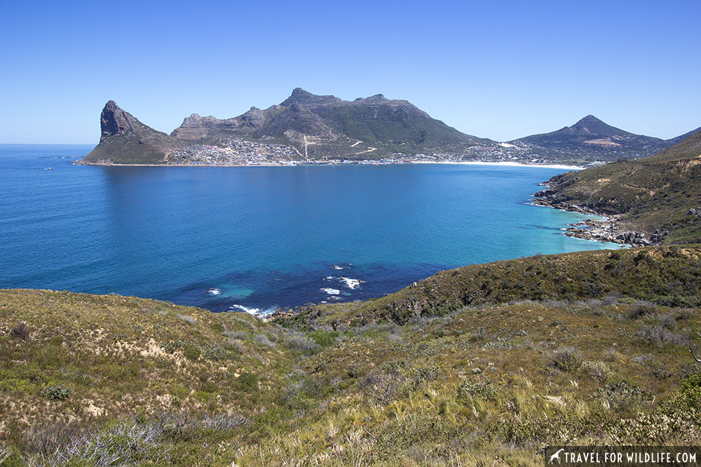 View of Hout Bay