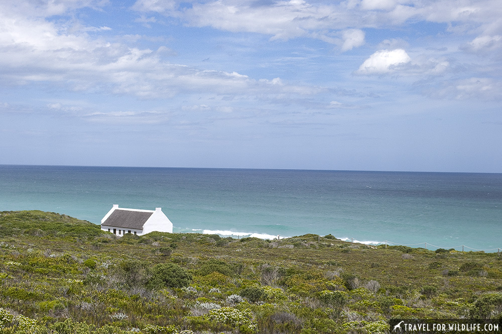 white cottage by the ocean