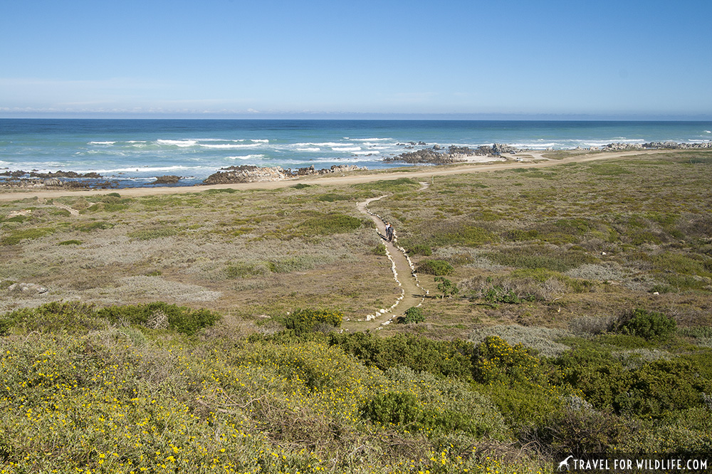 path to the where two oceans meet