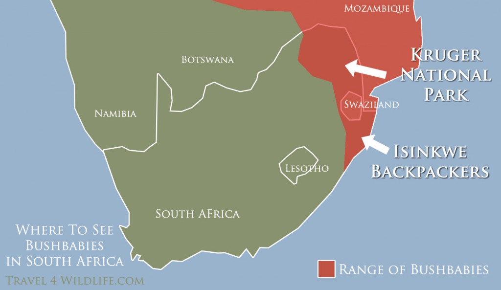 Map of where to see bush babies in South Africa