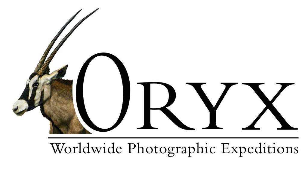 Oryx logo