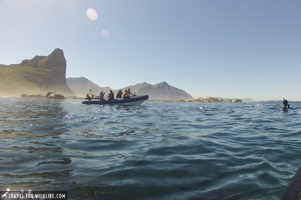 zodiac on the open sea