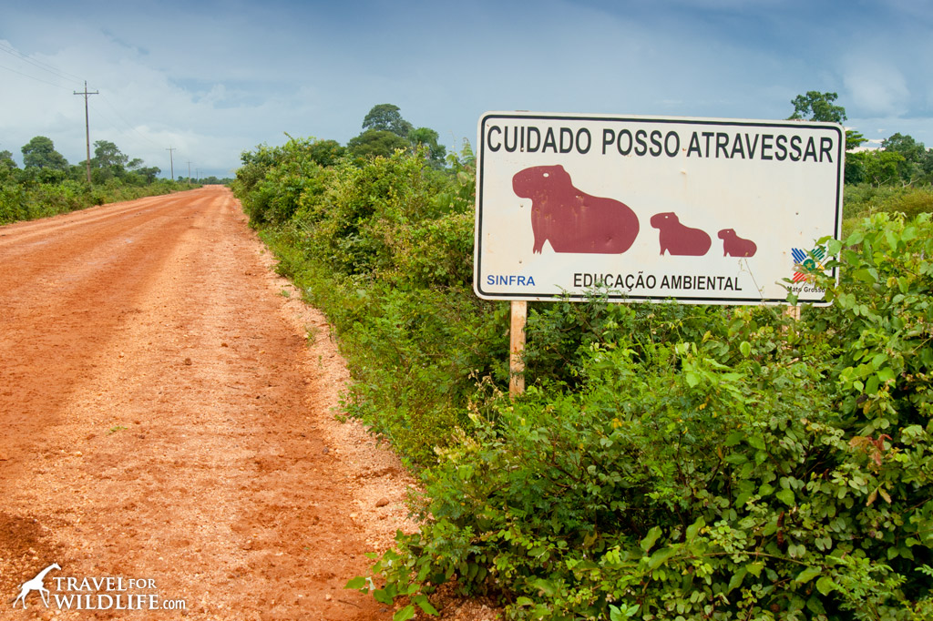 Capy Bara crossing sign, Pantanal, Brazil