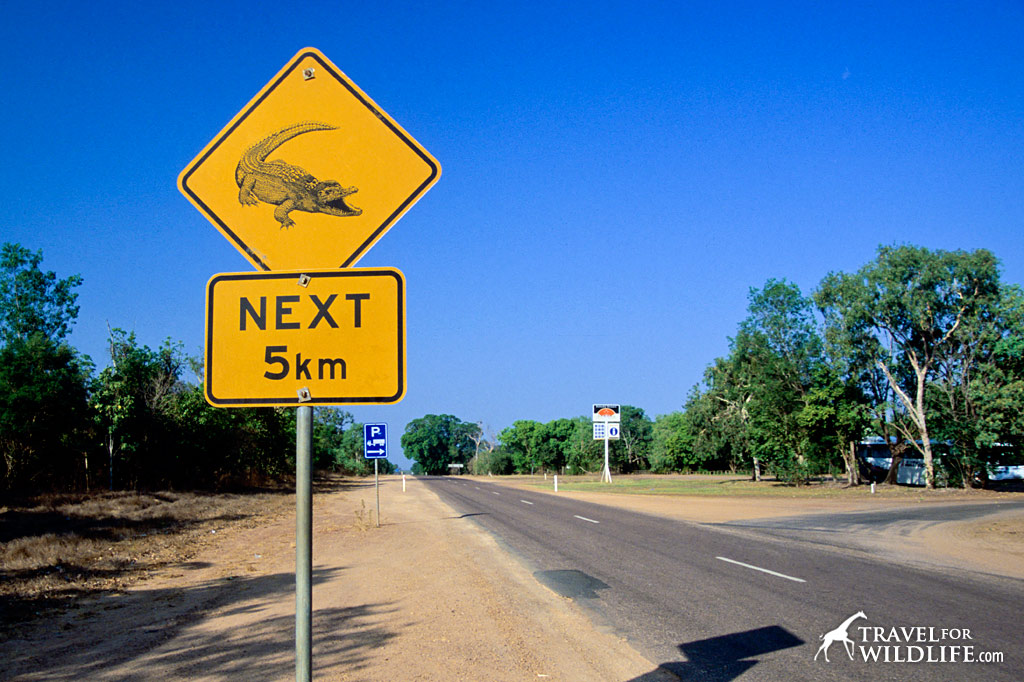 Crocodile crossing sign, Australia
