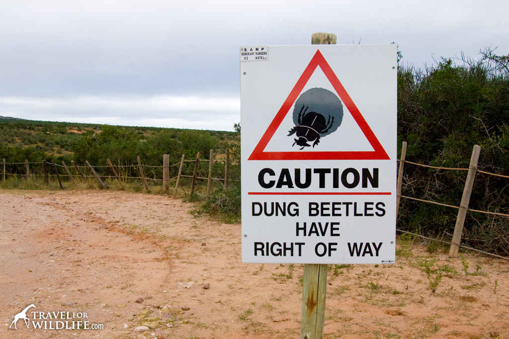 Dung Beetle crossing sign, Addo Elephant Park, South Africa