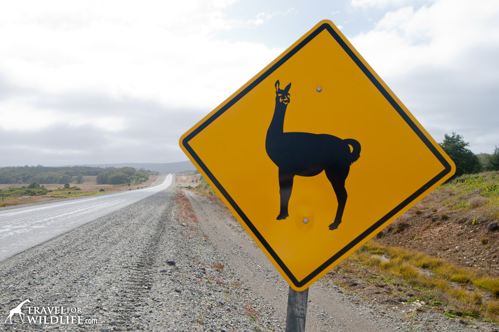 Guanaco crossing sign, Patagonia, Chile