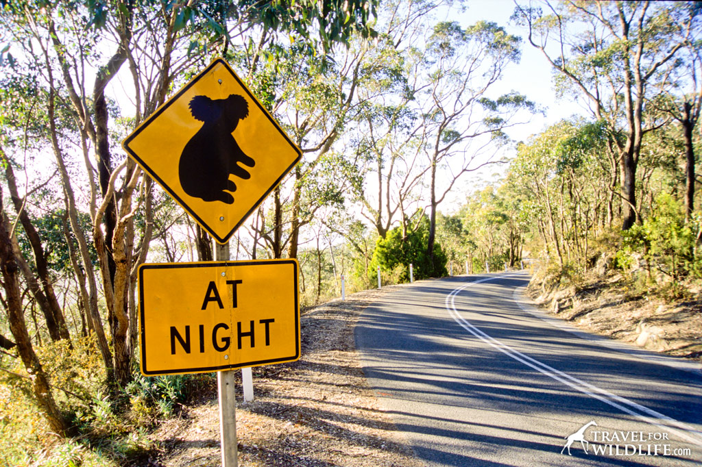 Koala crossing sign, Australia