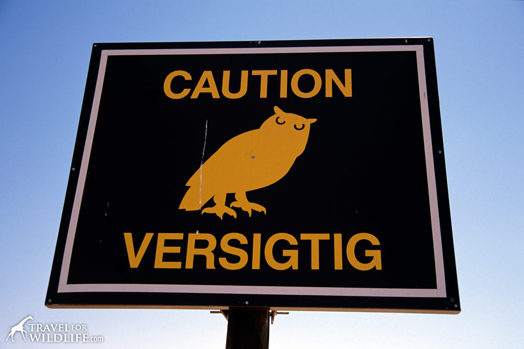 Owl Crossing sign near the Kgalagadi Transfrontier Park, South Africa