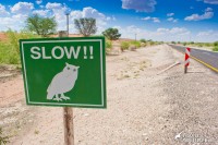 The new version of the owl crossing sign in the Kalahari, South Africa