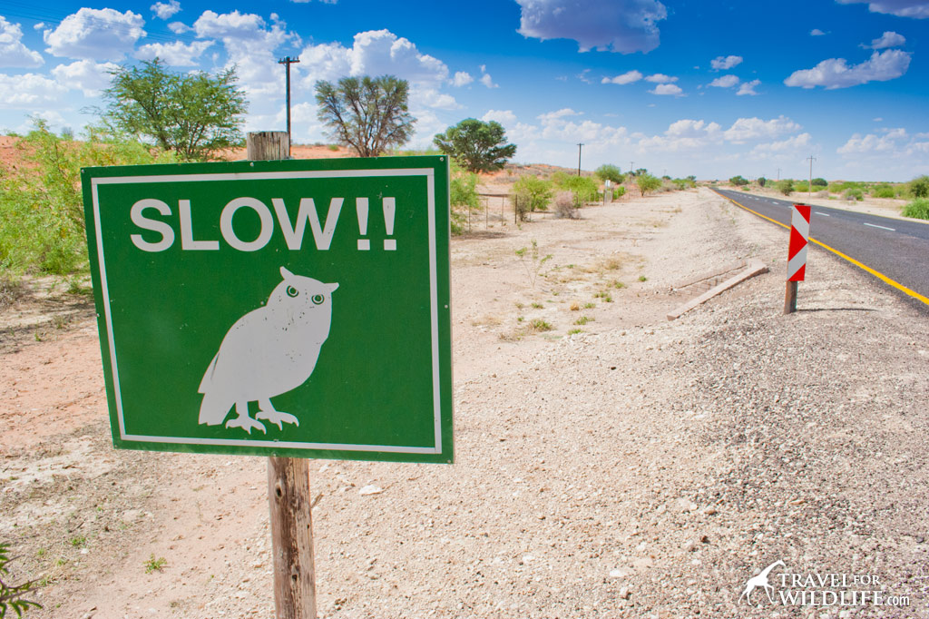 owl crossing sign Kalahari, South Africa