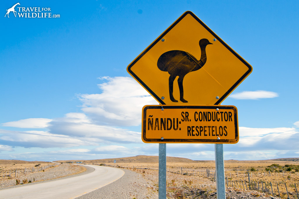 Rhea crossing sign, Patagonia,Argentina
