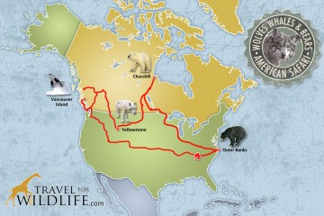 Travel For Wildlife American Safari Route Map