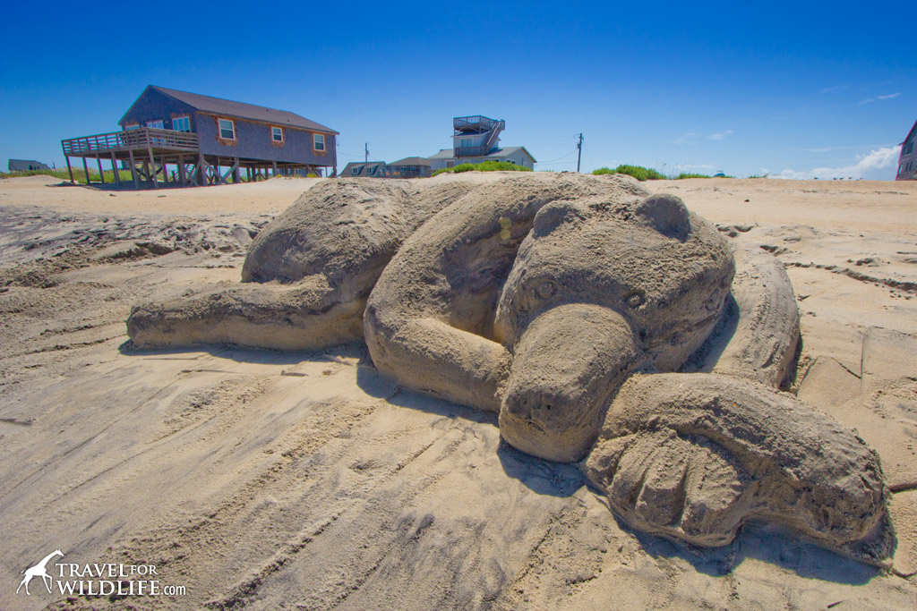 black bear sand sculpture