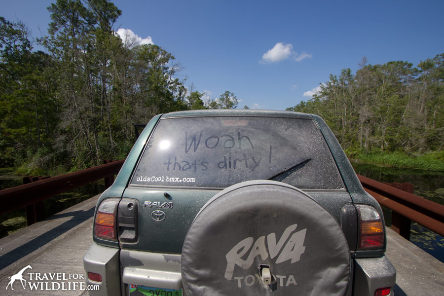 Leaving the Alligator River NWR