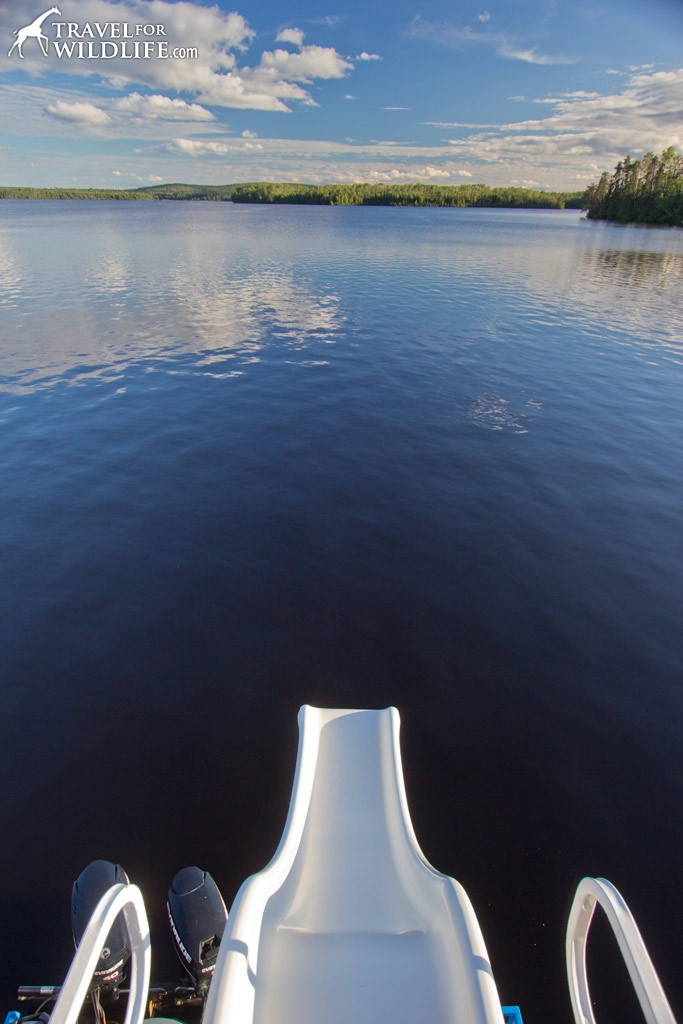 The slide on the back of our boat!